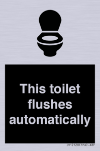 This toilet flushes automatically